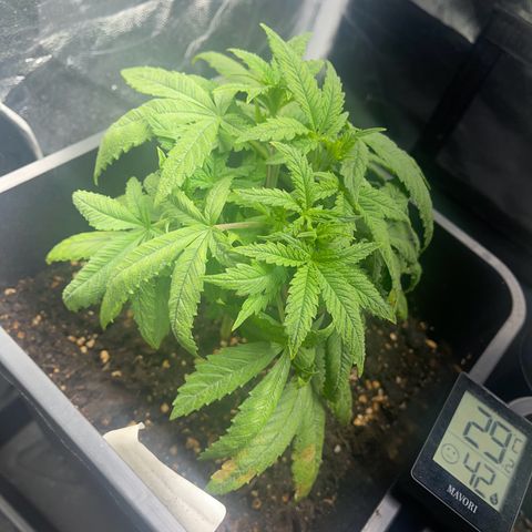 Eddy & Jeff growlog timeline photo