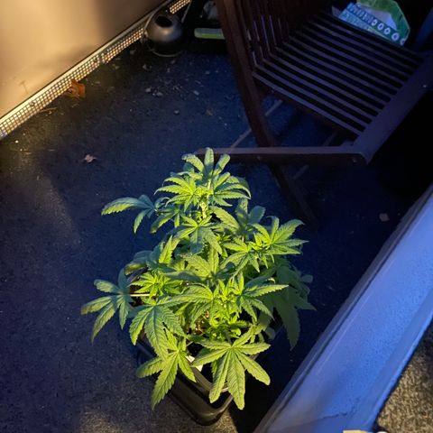 Eddy & Jeff growlog timeline photo