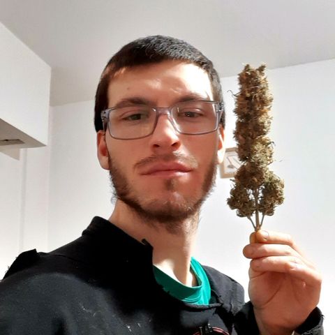 Amnesia XXL Auto #2 growlog timeline photo