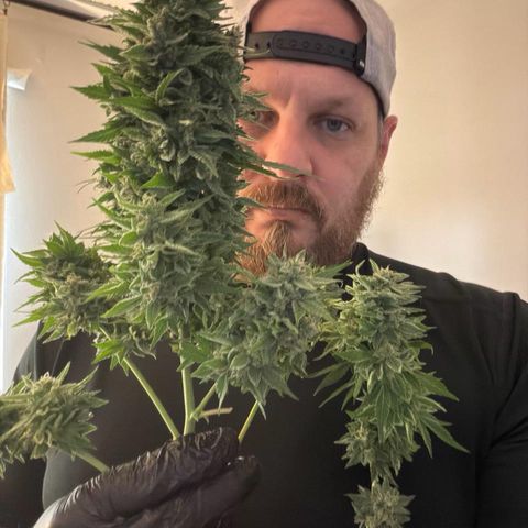 24 Carat  growlog timeline photo