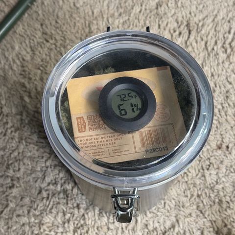 24 Carat  growlog timeline photo