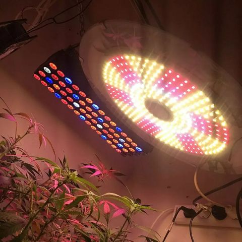 FLASHBACK 47 growlog timeline photo