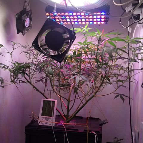 FLASHBACK 47 growlog timeline photo