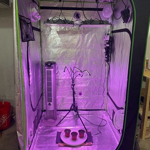 BD/GSC growlog timeline photo