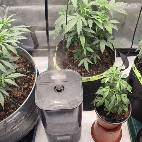 Tweeted Dee/Tweedle Dum growlog timeline photo