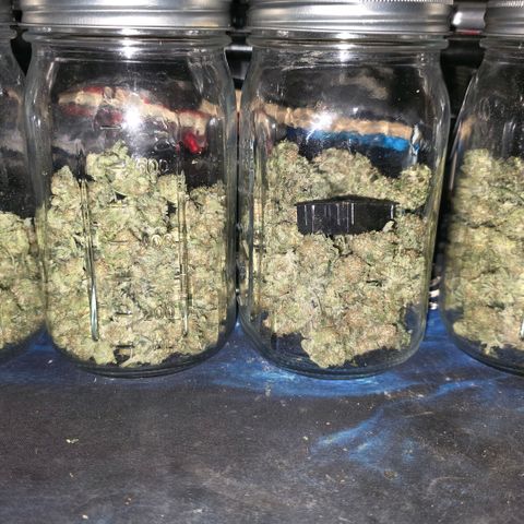 GSC growlog timeline photo