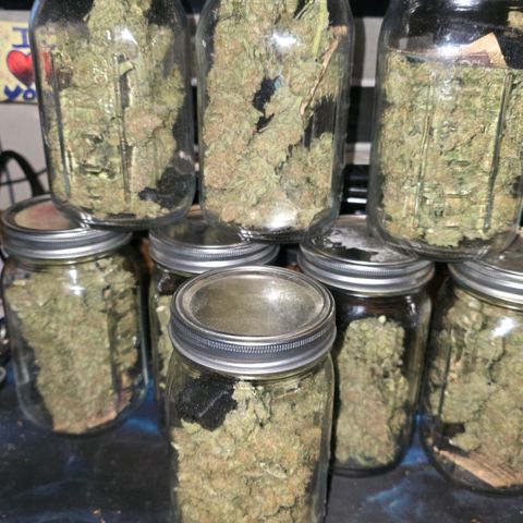 Northern Lights growlog photo: Final dry weight of right around 8.25 ounces / little over 225g. These baseball bats ended up averaging around 10g each once dry. 