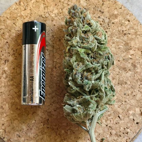 Purples  left growlog timeline photo