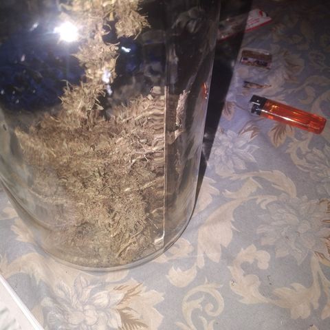 A mina ganjah (prensado) growlog timeline photo