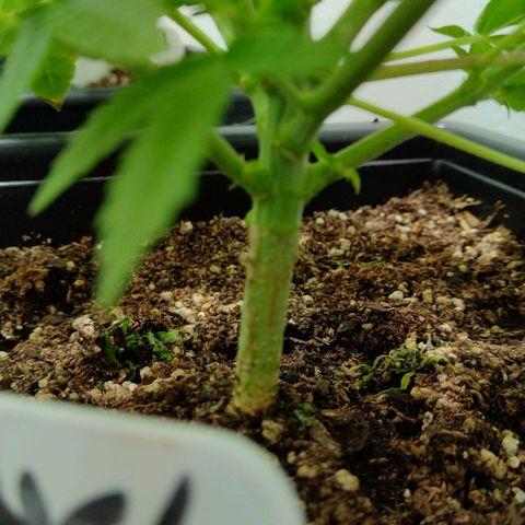 Moby y channel growlog timeline photo