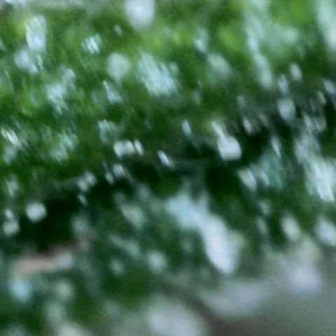 Eleanor growlog timeline photo