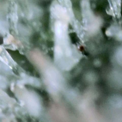 Bobbie Sue growlog timeline photo