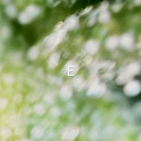 Eleanor growlog timeline photo