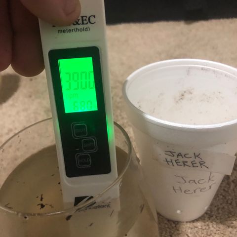 Jack Herer  growlog photo: Runoff TDS and PH monitoring- Photos with low water 💦 level had water collected with a syringe. Photos with high water 💦 level had water collected straight from the saucer. 