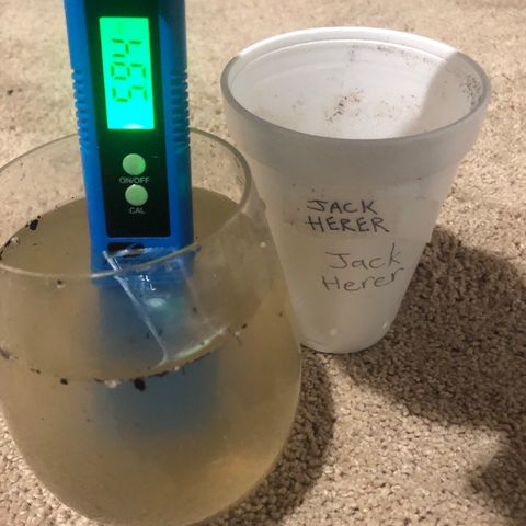Jack Herer  growlog photo: Runoff TDS and PH monitoring- Photos with low water 💦 level had water collected with a syringe. Photos with high water 💦 level had water collected straight from the saucer. 