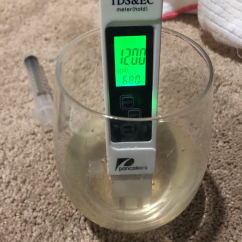 Jack Herer  growlog photo: Watered💦 Jack Herer with RODI water💦 with garden sprayer until runoff. TDS tested 1593 ppm from water 💦 collected from syringe 💉 PH tested fluctuating between 7.38 and 7.41 from syringe 💉 which was taken with light in the background. TDS tested 1200 ppm and PH tested 7.25 when water 💦 was poured into cup with existing water 💦 from saucer. Those photos were taken without the lights in the background. 