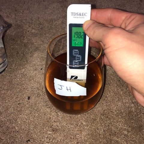 Jack Herer  growlog photo: Tested runoff. Jack Herer TDS was 1982 ppm with a ph of 6.06. 