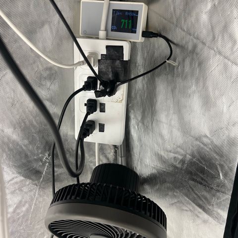 Chemdog 30% Sativa 70% Indica growlog photo: Installed carbon dioxide monitor. 