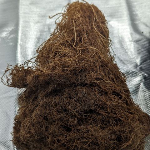 Fuel D.OG growlog timeline photo