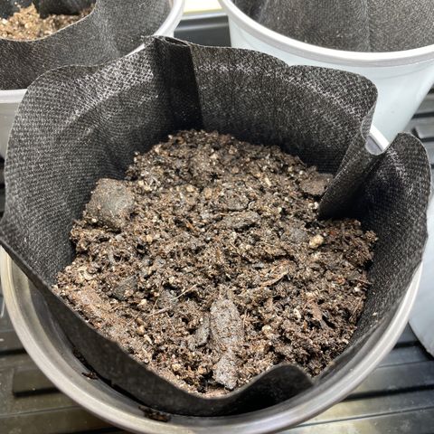 Sourdough S1 Offensive Selections growlog timeline photo