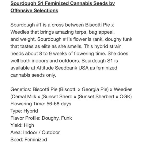 Sourdough S1 Offensive Selections growlog timeline photo