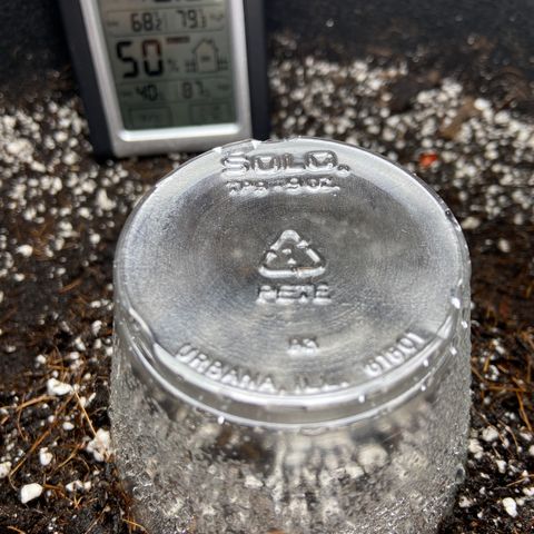 Glue Gelato Auto growlog photo: Day 1 in the ground. Solo humidity dome, cfl for heat. 
