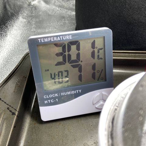 Glue Gelato Auto growlog timeline photo