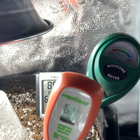 Glue Gelato Auto growlog photo: 6.4 soil ph, 85 F, 66% humidity, moisture 10+