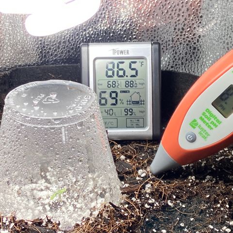 Glue Gelato Auto growlog photo: Welcome to the world!