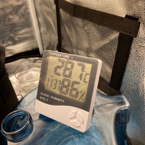 Glue Gelato Auto growlog timeline photo