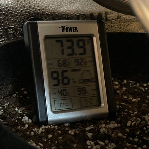 Glue Gelato Auto growlog photo: Humid at night. 