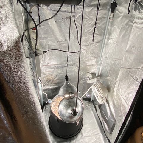 Glue Gelato Auto growlog photo: Looking great
