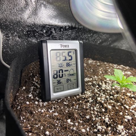 Glue Gelato Auto growlog photo: 85/80