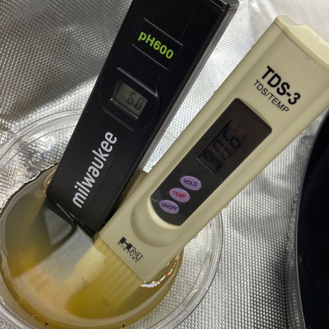 Glue Gelato Auto growlog timeline photo