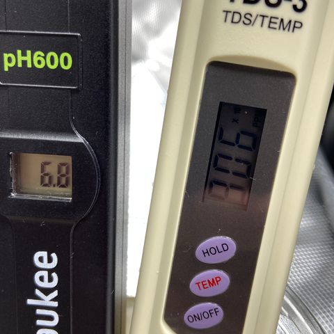 Glue Gelato Auto growlog timeline photo