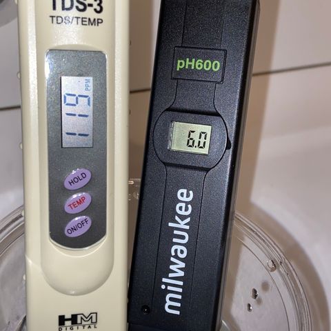 Glue Gelato Auto growlog timeline photo