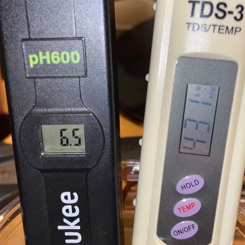 Glue Gelato Auto growlog timeline photo