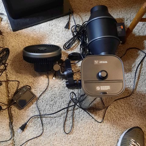 Daisy's  growlog timeline photo