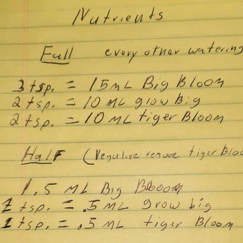 Daisy's  growlog photo: Nutrient Recipe 
