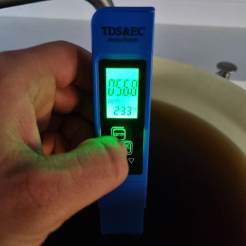 Purple Lemonade Auto Run #1 growlog timeline photo