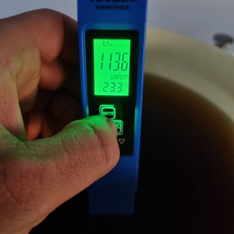 Purple Lemonade Auto Run #1 growlog timeline photo