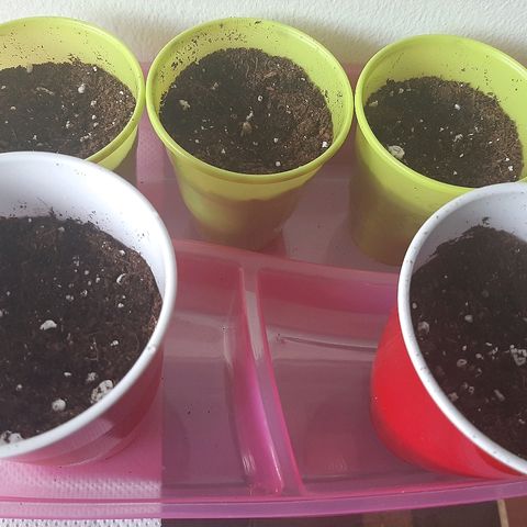 AK 47 #2 growlog timeline photo