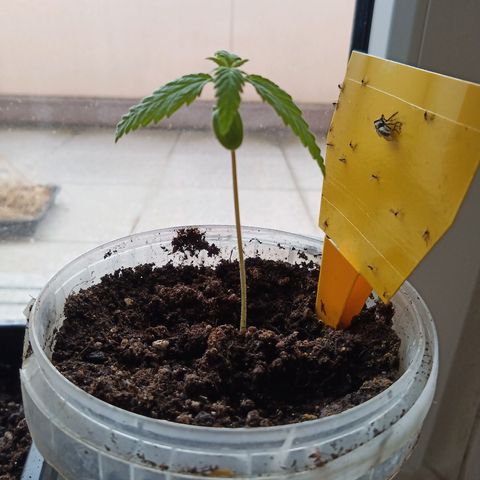 Special Queen 1 2025/01 growlog timeline photo