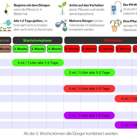 timeline