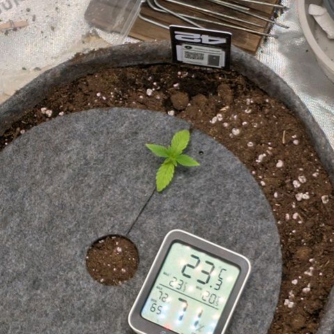 Melonie growlog photo: So jetzt ist sie final umgezogen
