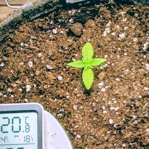 Melonie growlog photo: So jetzt ist sie final umgezogen

