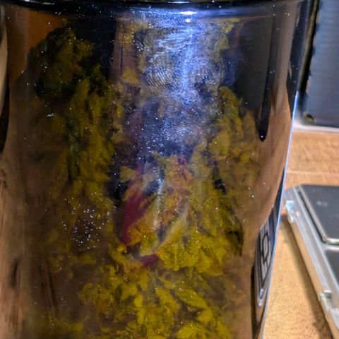 Melonie growlog photo: 22g 