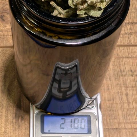 Melonie growlog photo: 22g 