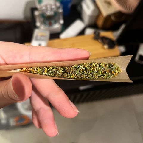 Brasilia Moonshine growlog timeline photo