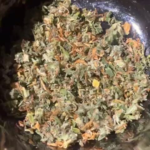 Brasilia Moonshine growlog timeline photo
